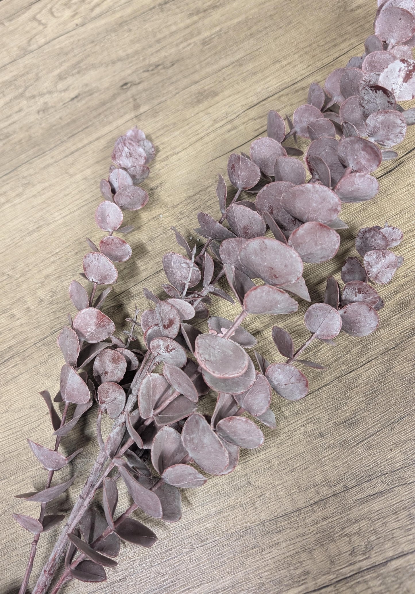 Eukalyptus - künstlich Premium