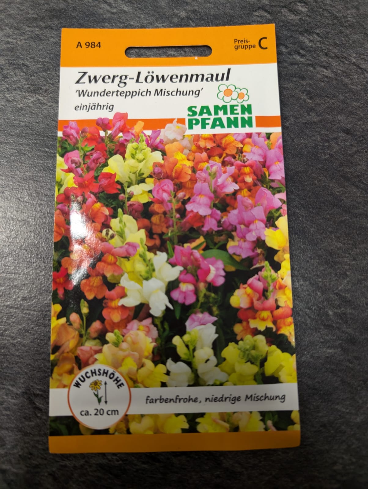 Löwenmaul in Sorten