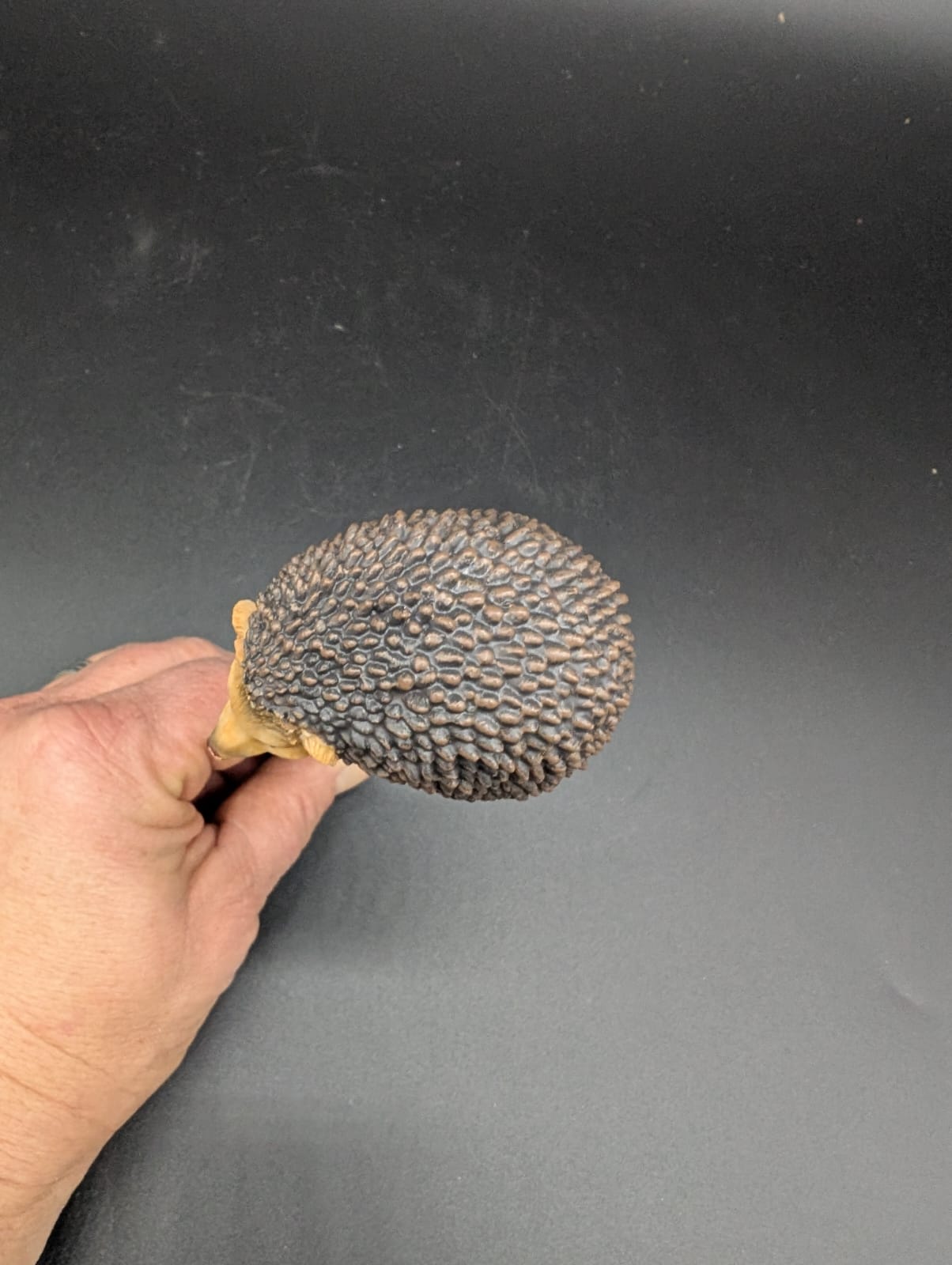 Igel Stecker