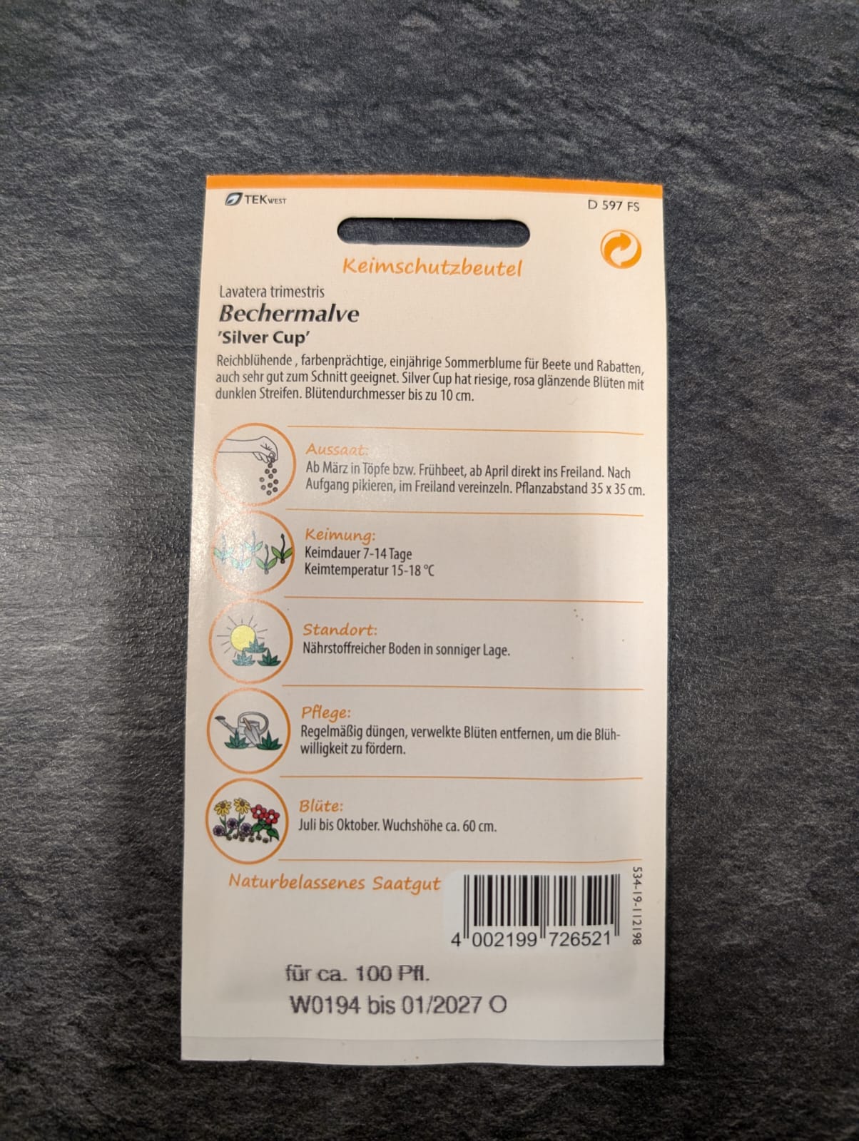 Bechermalve in Sorten