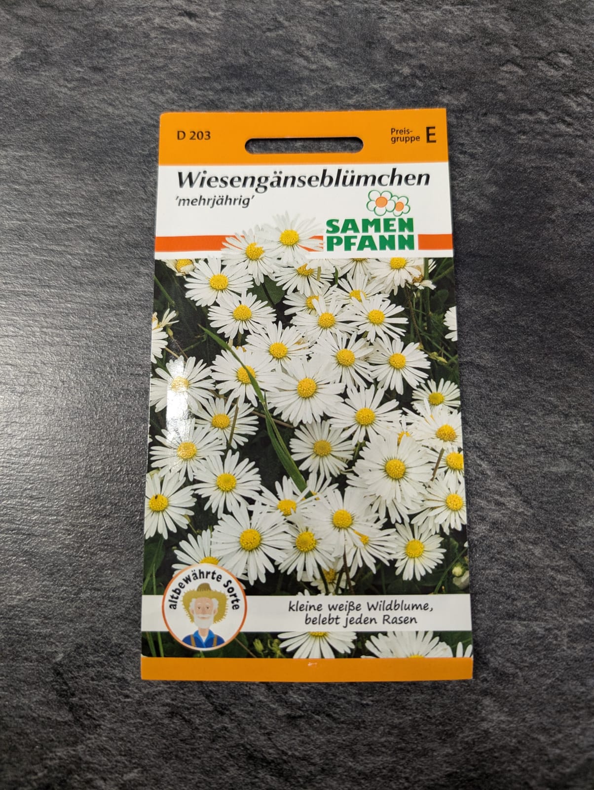 Wiesengänseblümchen 'mehrjährig'