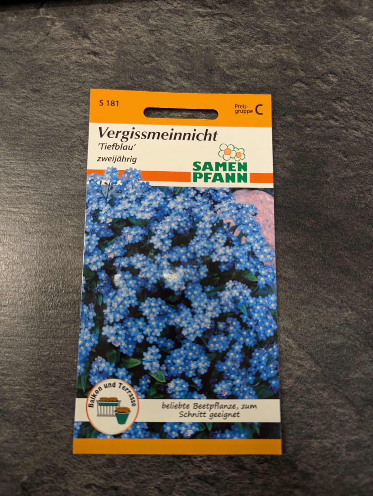 Vergissmeinnicht 'Tiefblau'