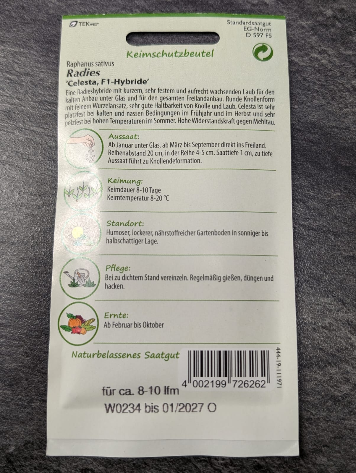 Radieschen in Sorten
