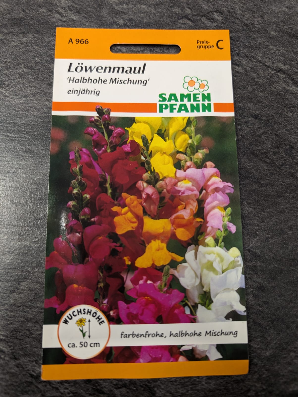 Löwenmaul in Sorten