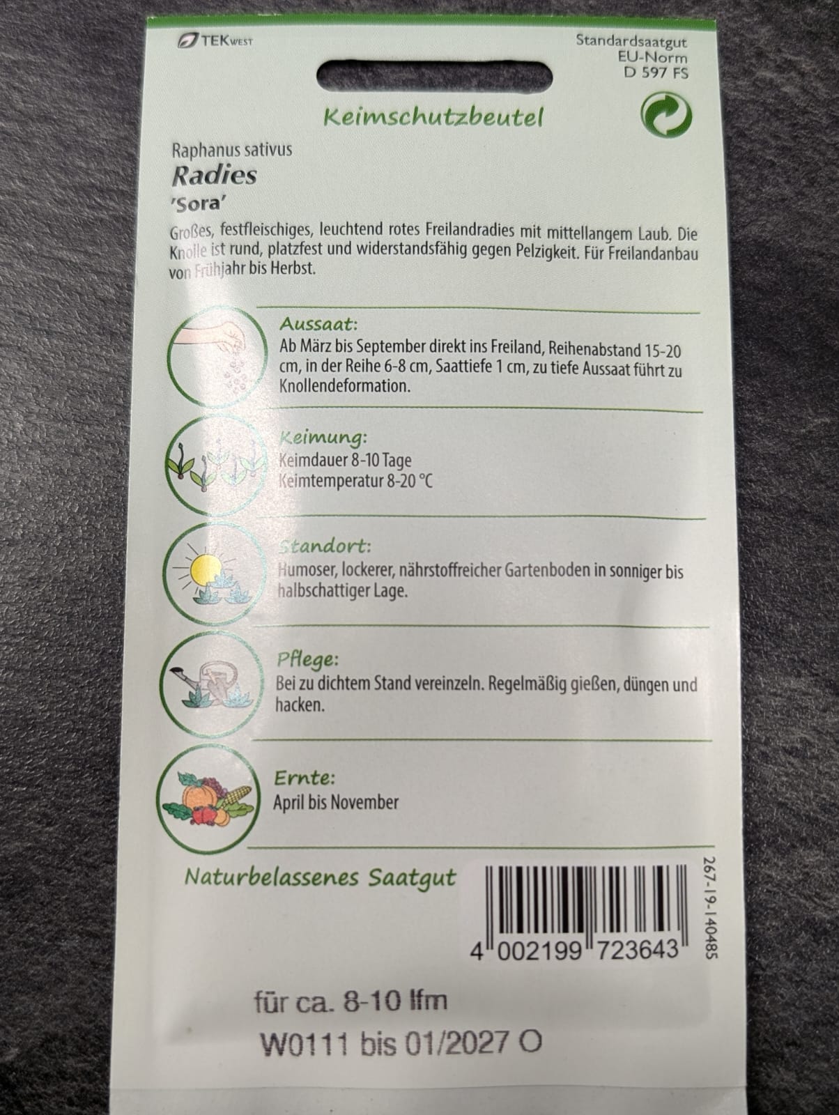 Radieschen in Sorten