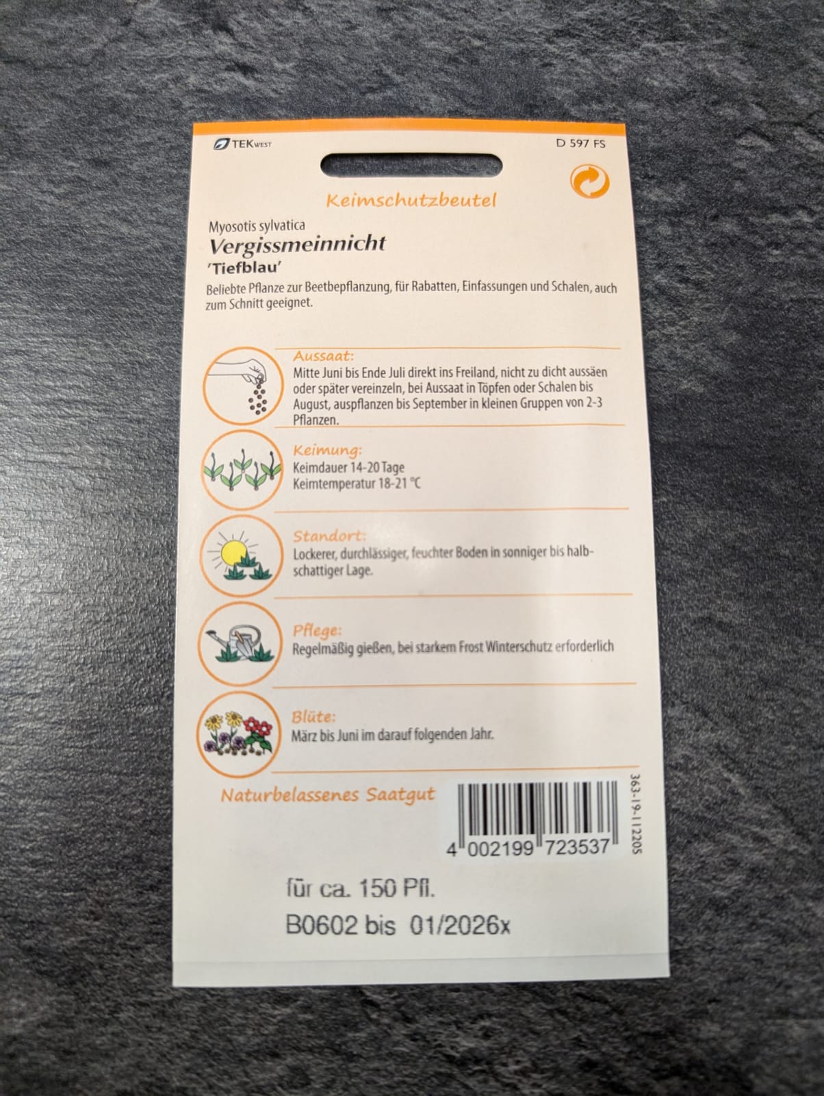 Vergissmeinnicht 'Tiefblau'