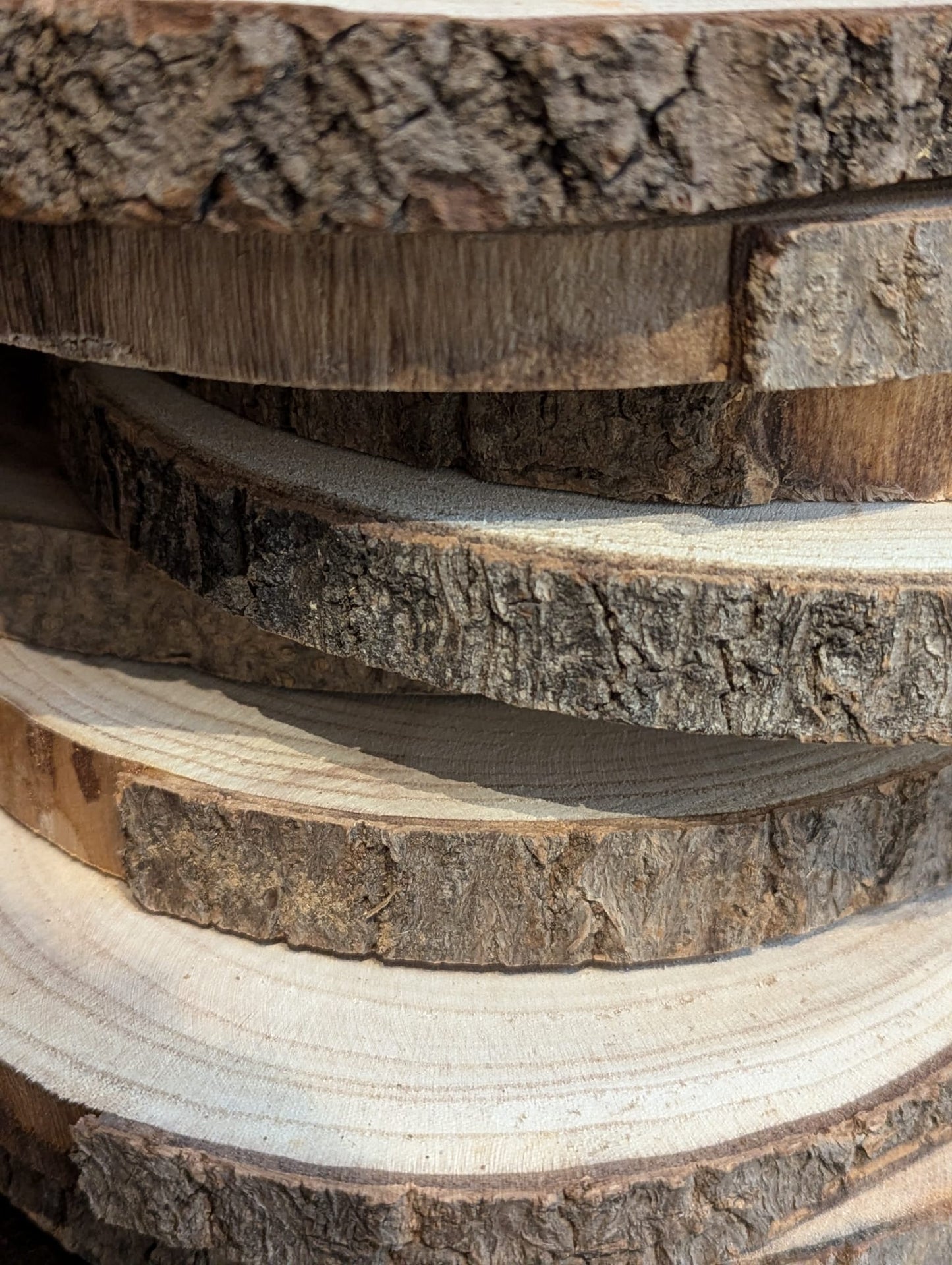 Holzscheibe in verschiedenen größen