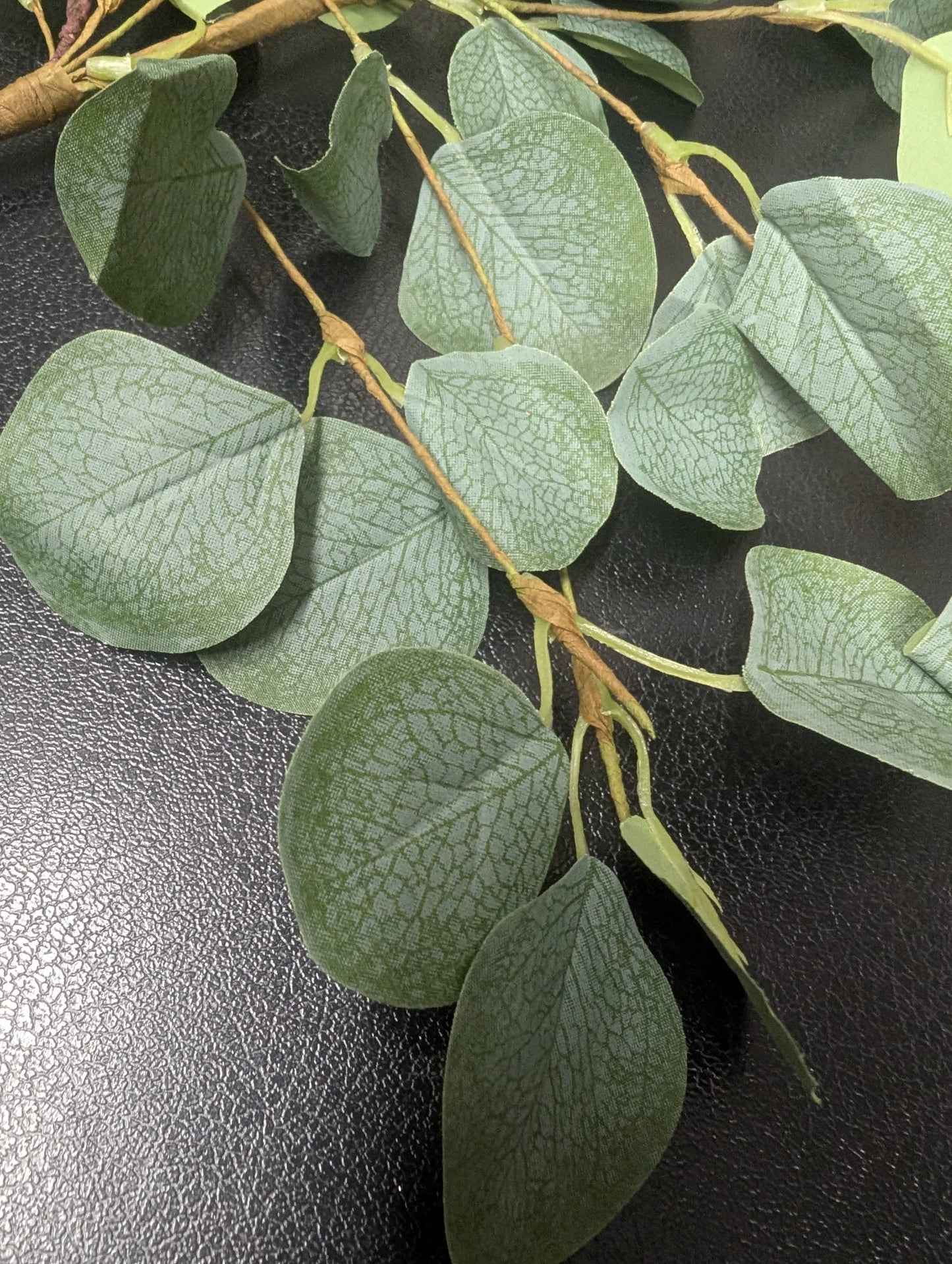 Eukalyptus künstlich