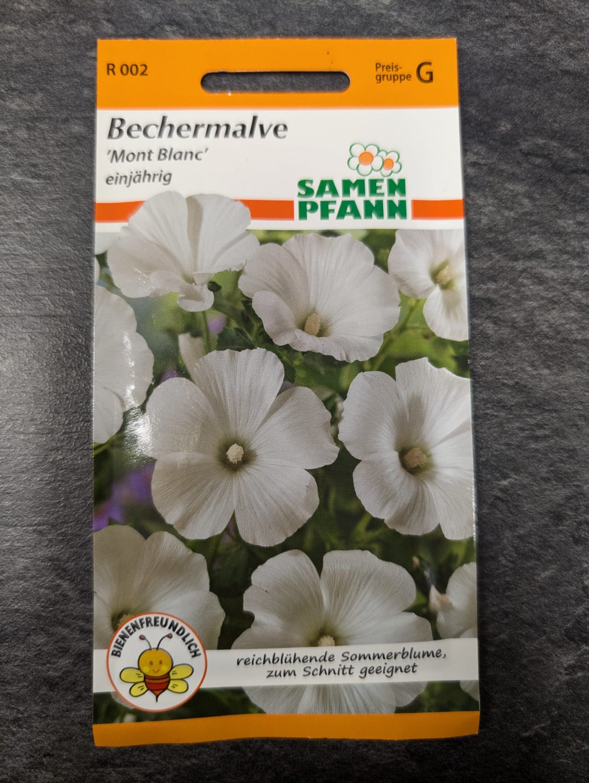 Bechermalve in Sorten
