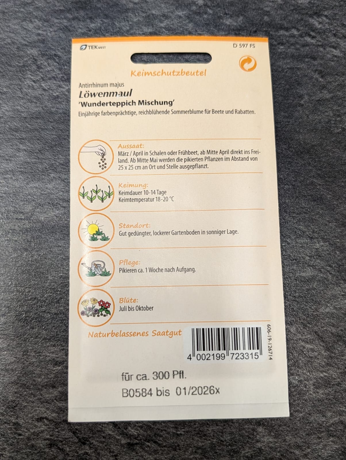 Löwenmaul in Sorten