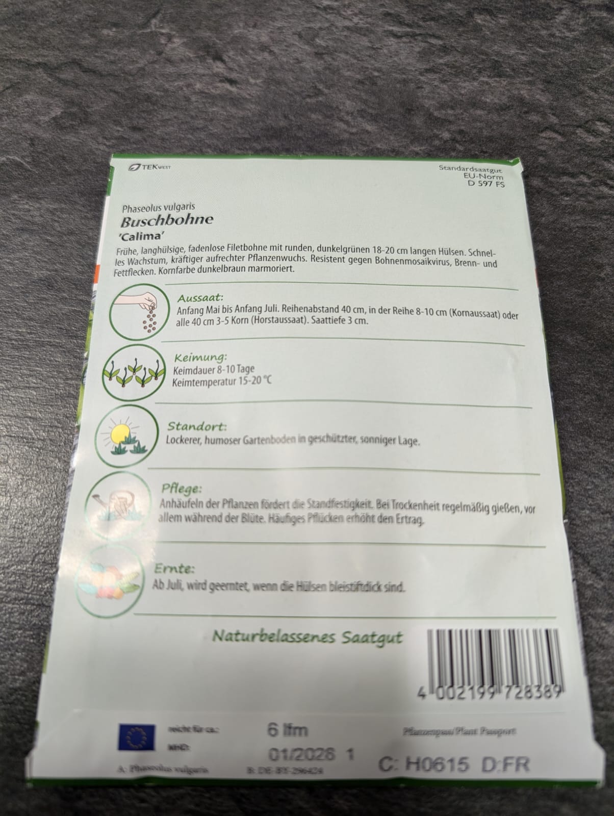 Buschbohnen in Sorten