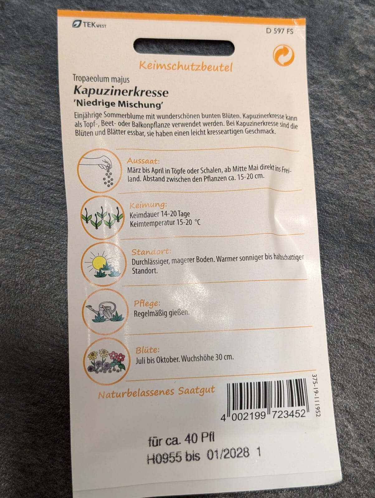 Kapuzinerkresse 'Niedrige Mischung'