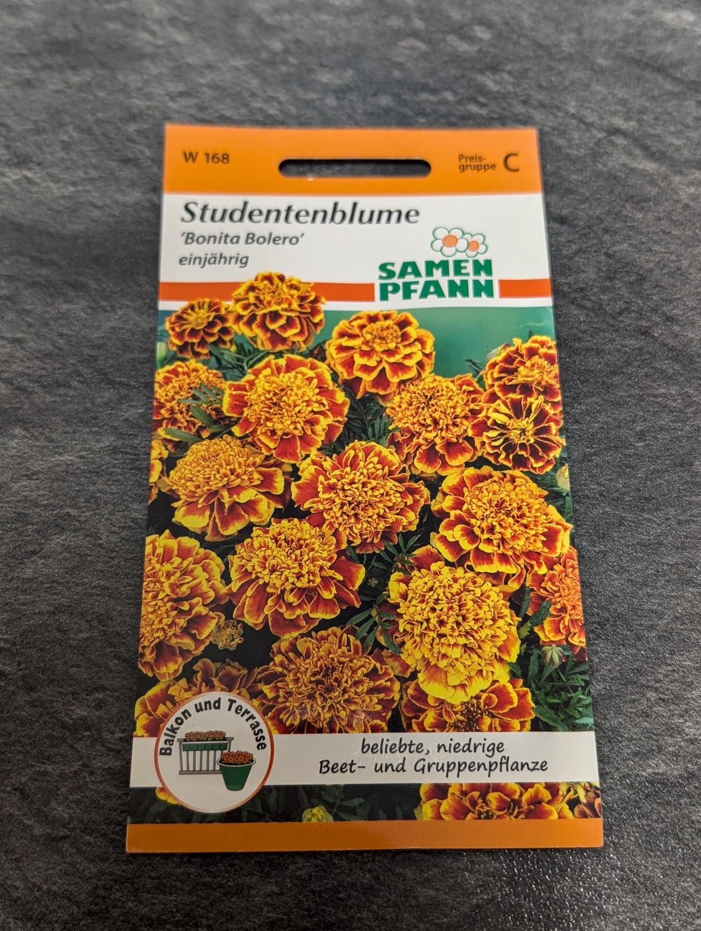 Studentenblumen (in Sorten)
