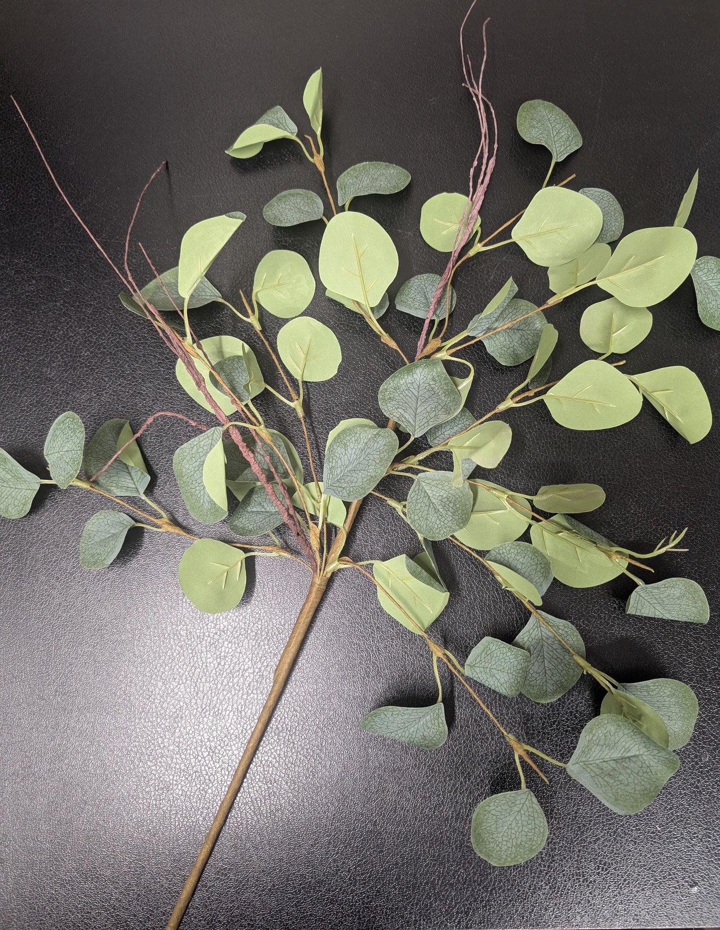 Eukalyptus künstlich