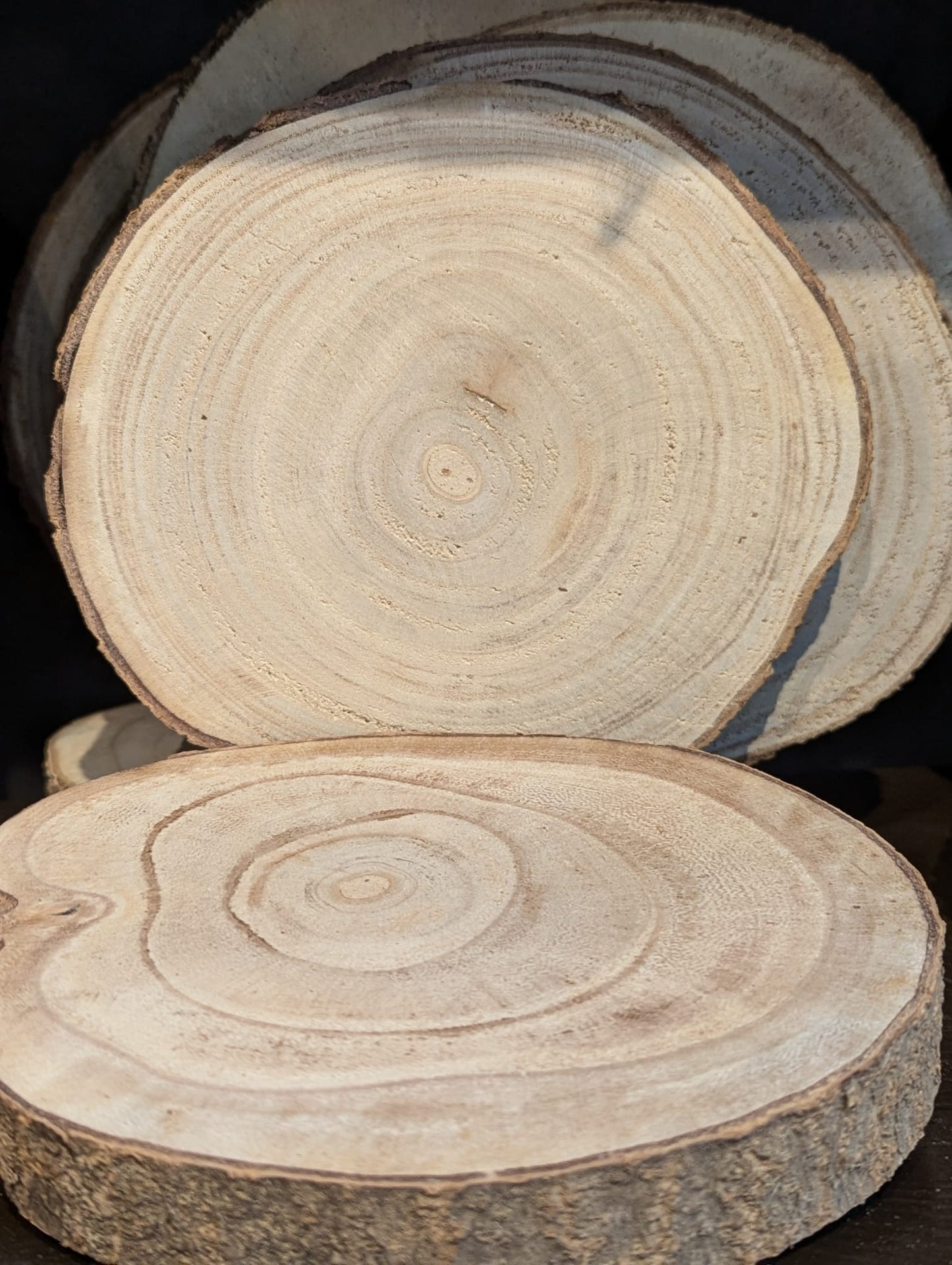 Holzscheibe in verschiedenen größen