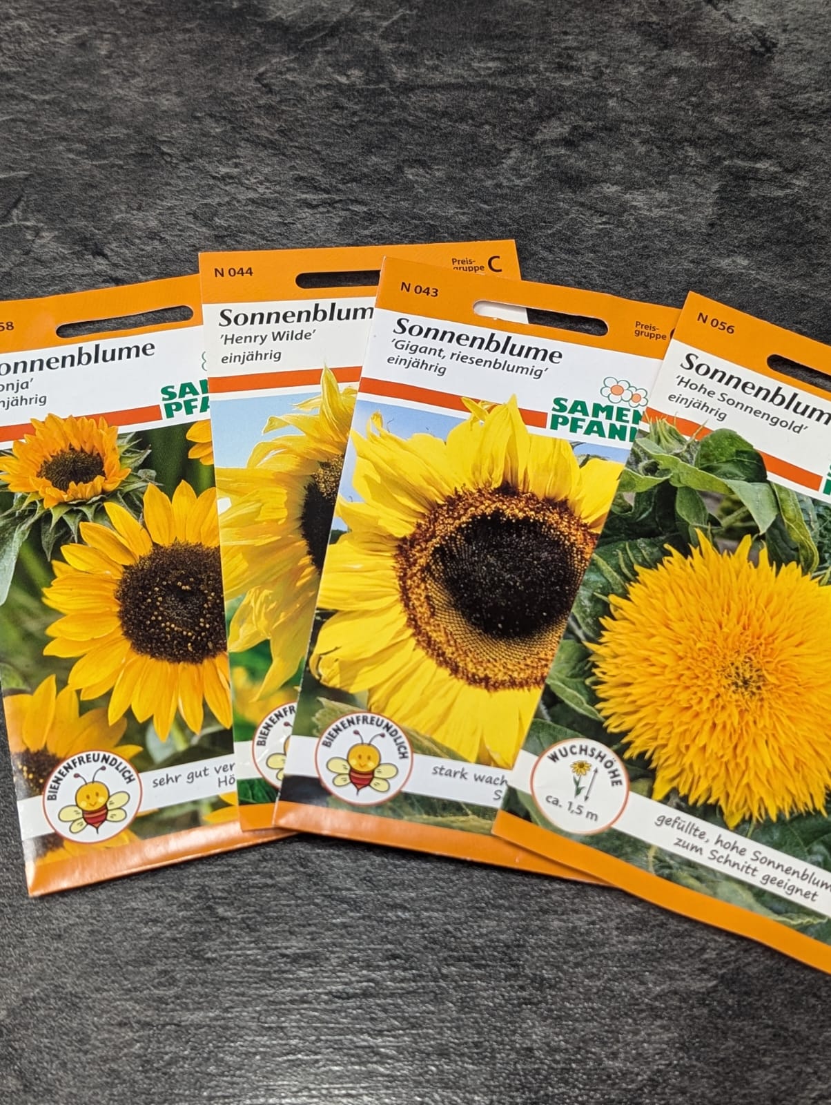 Sonnenblume in Sorten