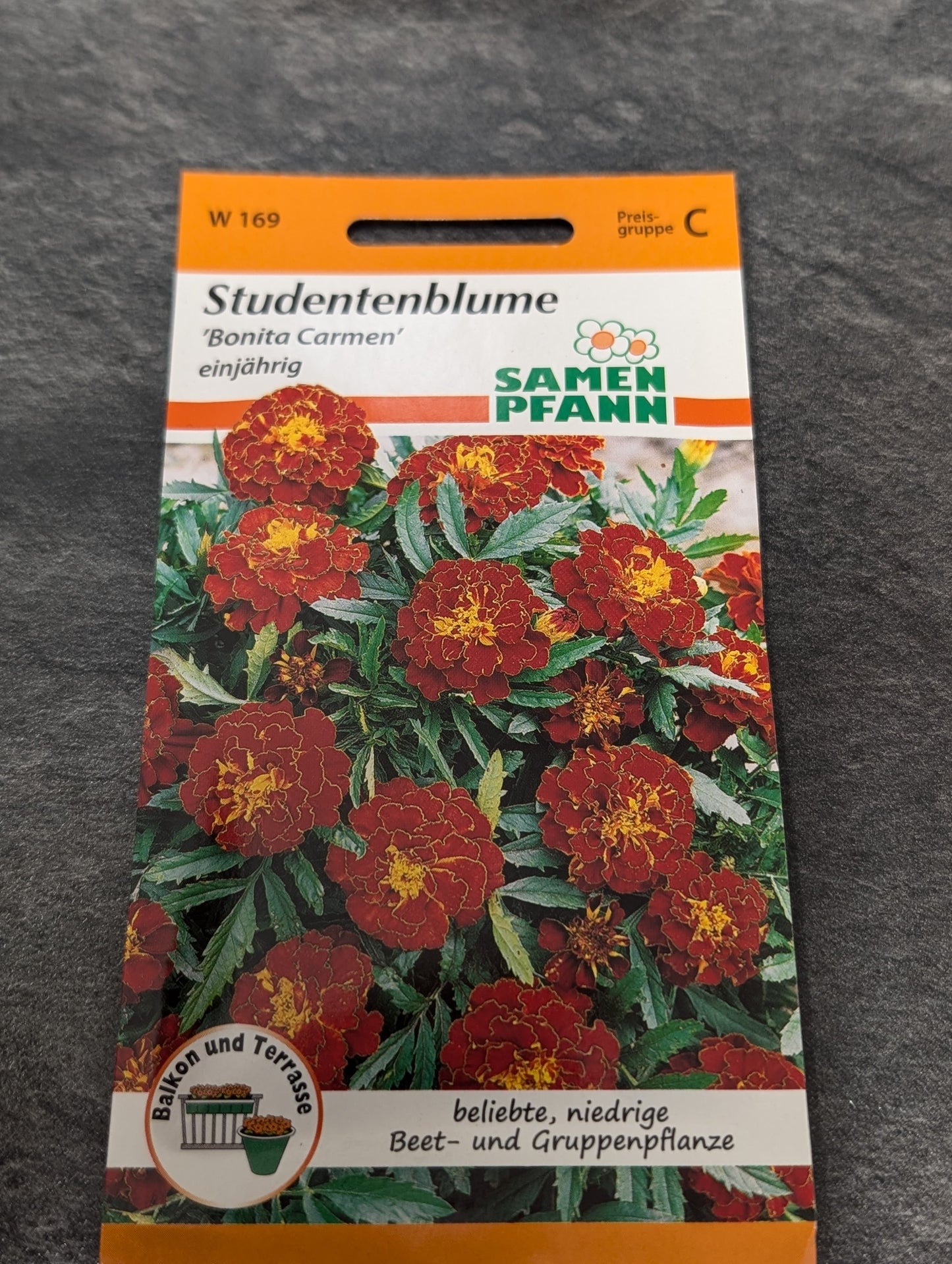 Studentenblumen (in Sorten)