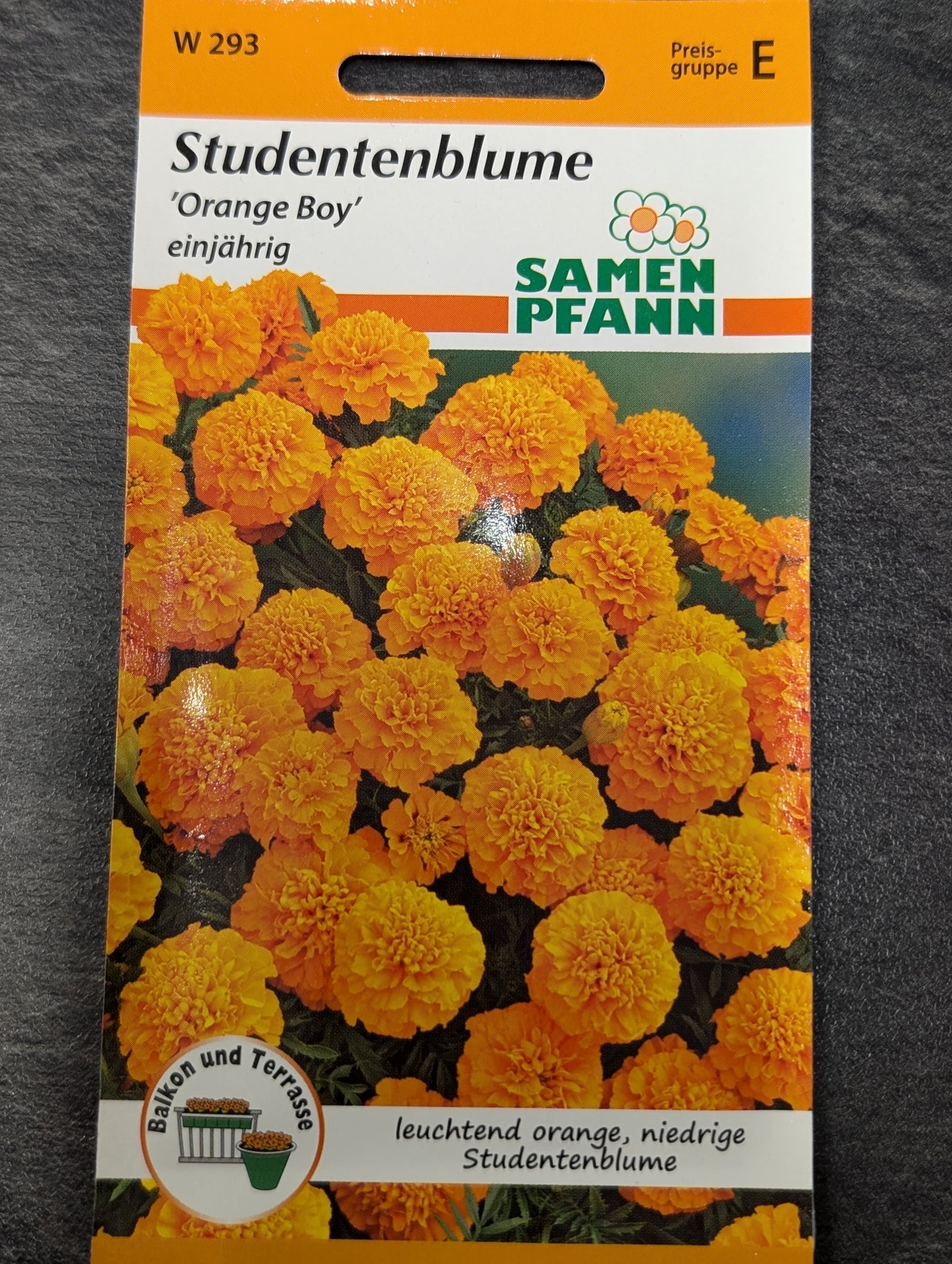 Studentenblumen (in Sorten)