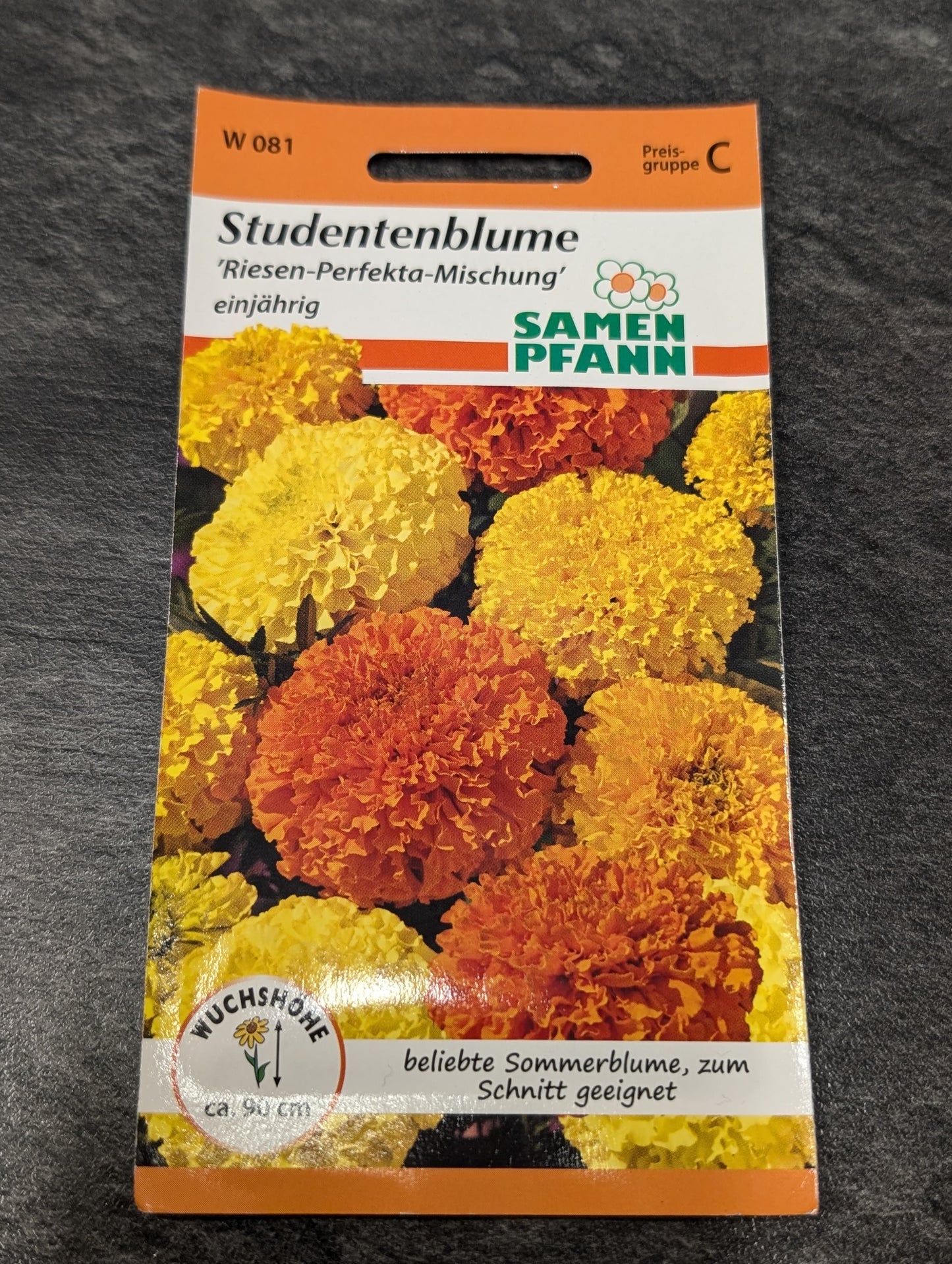 Studentenblumen (in Sorten)