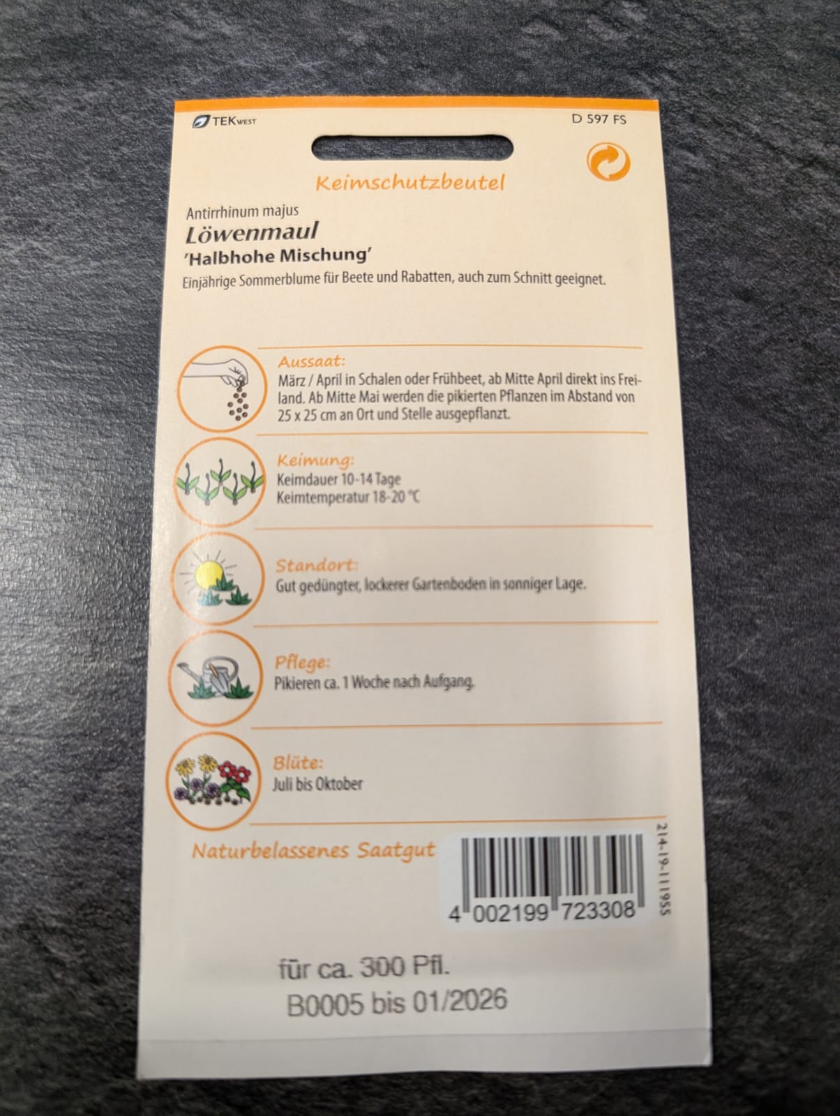 Löwenmaul in Sorten