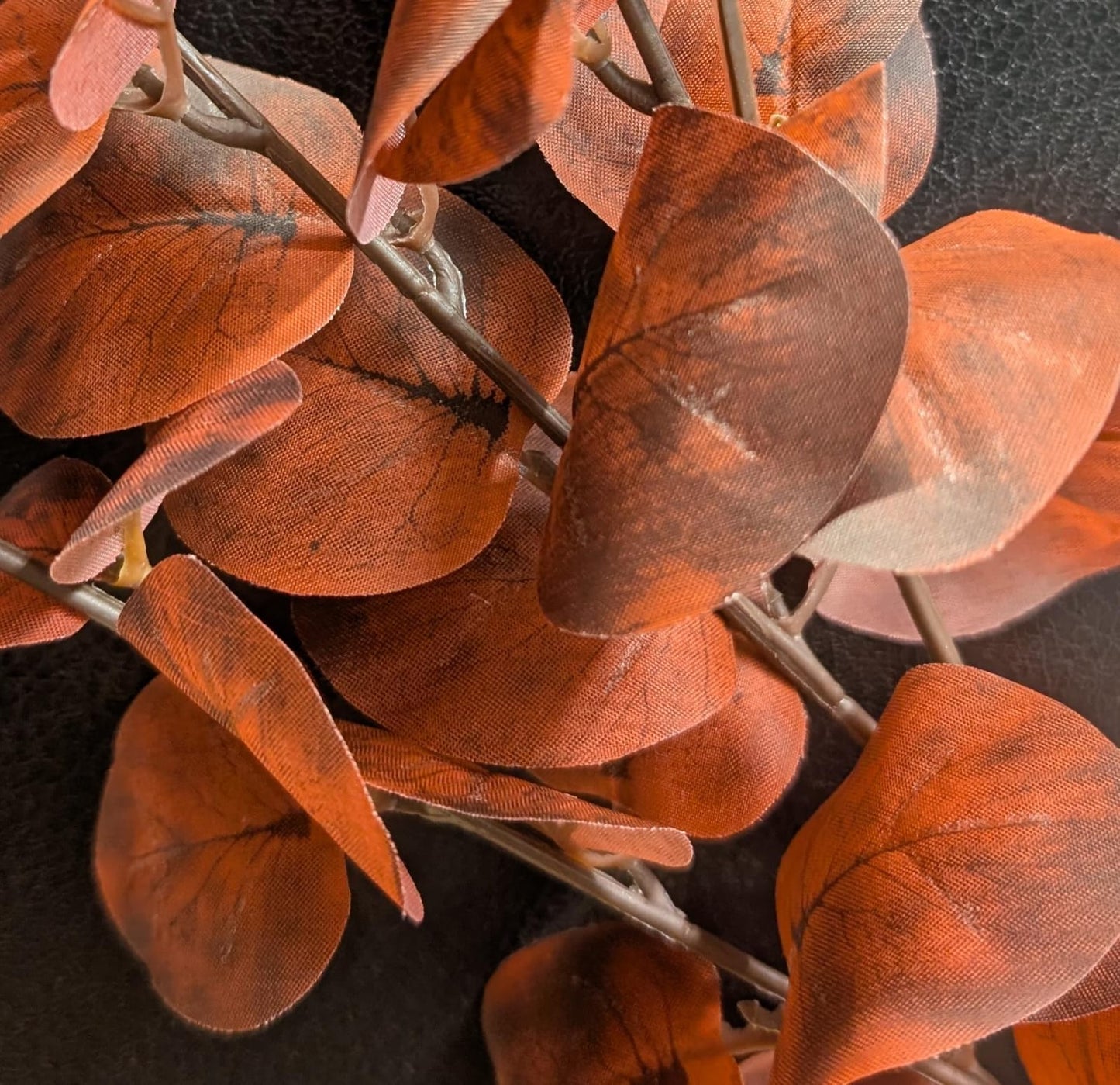 Eukalypthus herbstlich mit Drahtkern