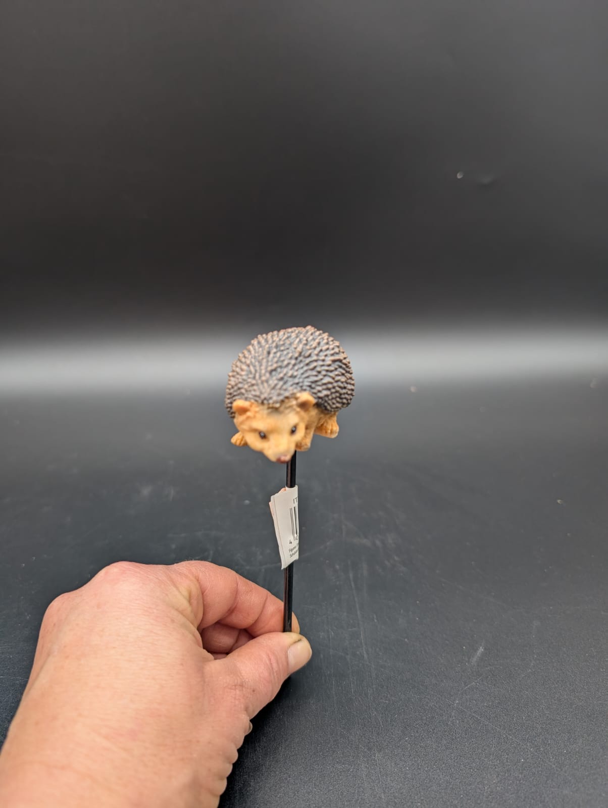 Igel Stecker