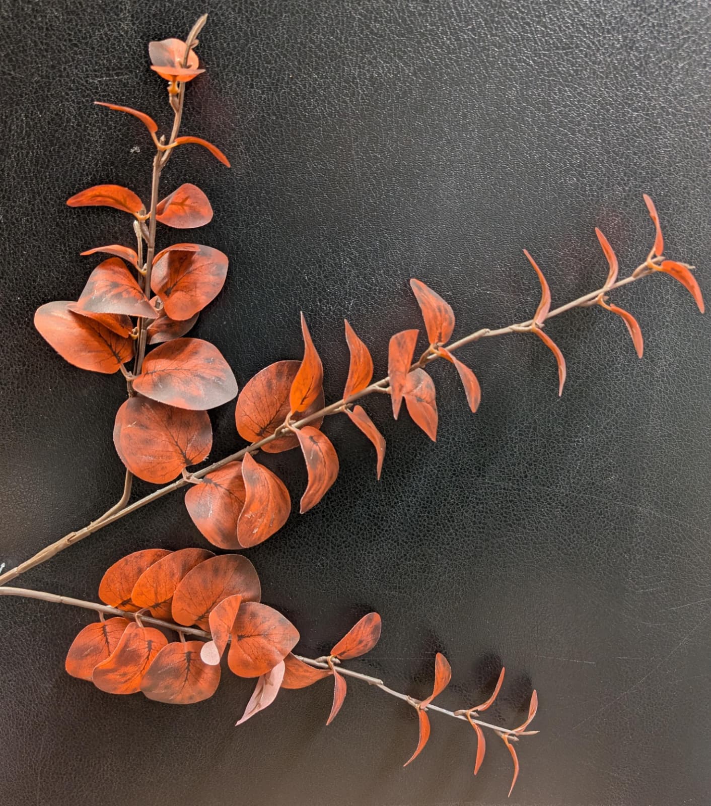 Eukalypthus herbstlich mit Drahtkern