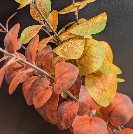 Eukalypthus herbstlich mit Drahtkern