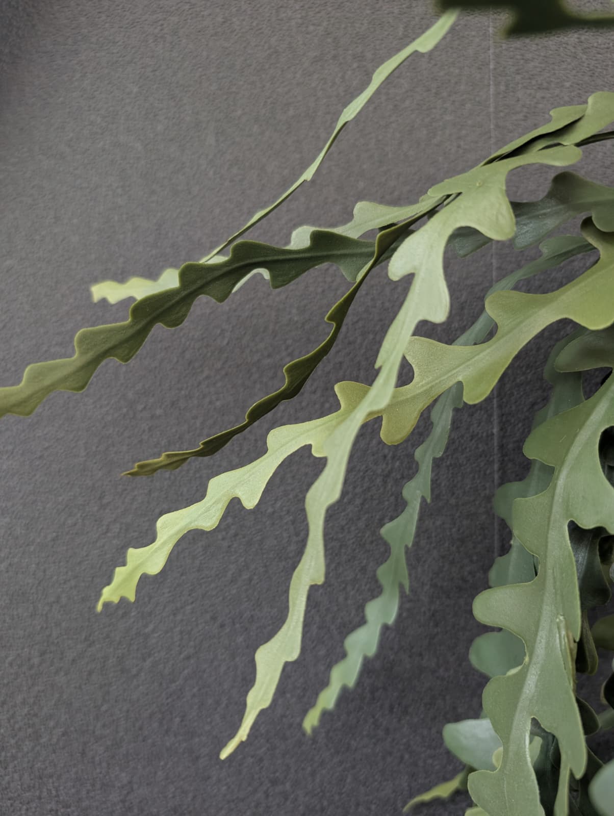 Hängepflanze künstlich